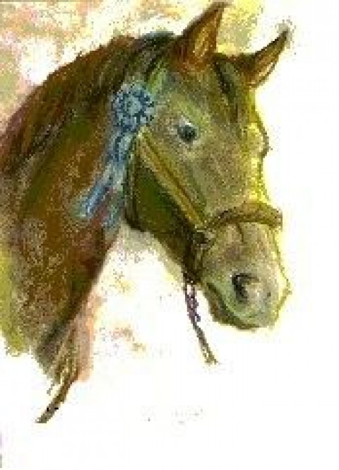 Visit Lisa's Art & Horses